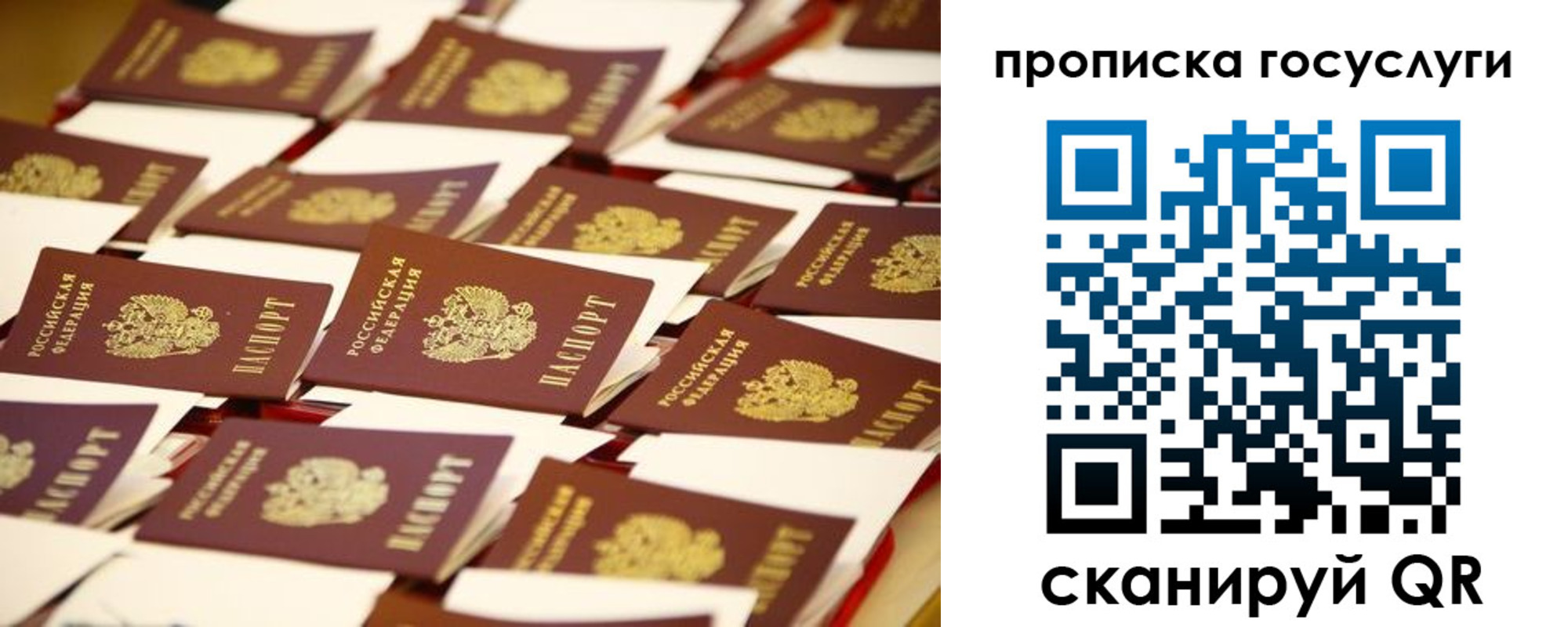 найти адрес прописки в Кингисеппе