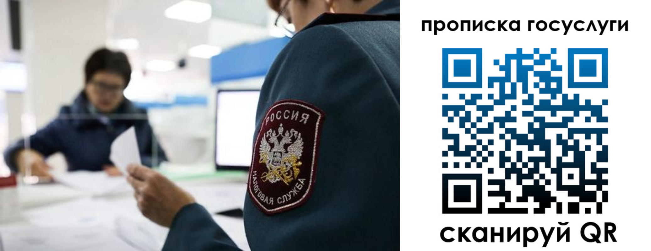 где прописаться в Кингисеппе